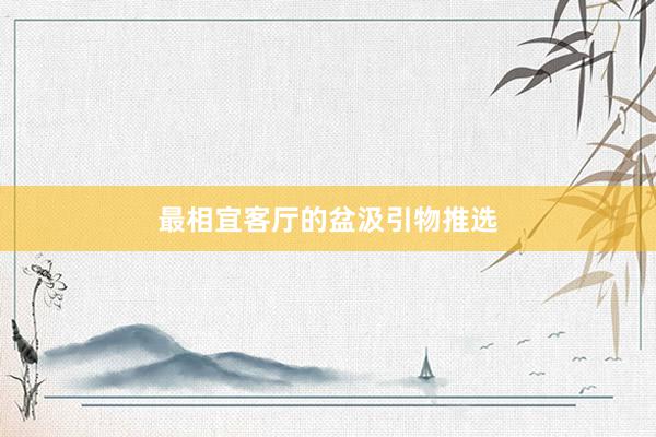 最相宜客厅的盆汲引物推选